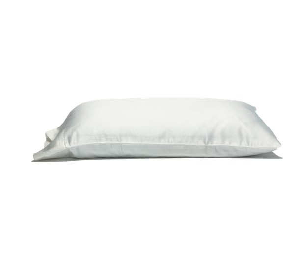 Savvy Sleepers 100 Percent Satin Pillow Case