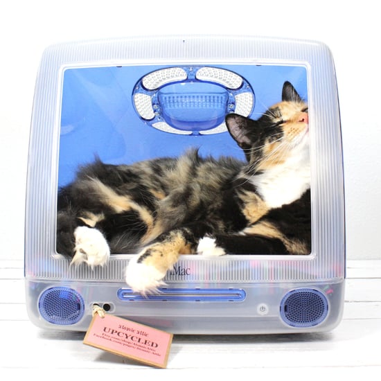 Cat Computer Bed