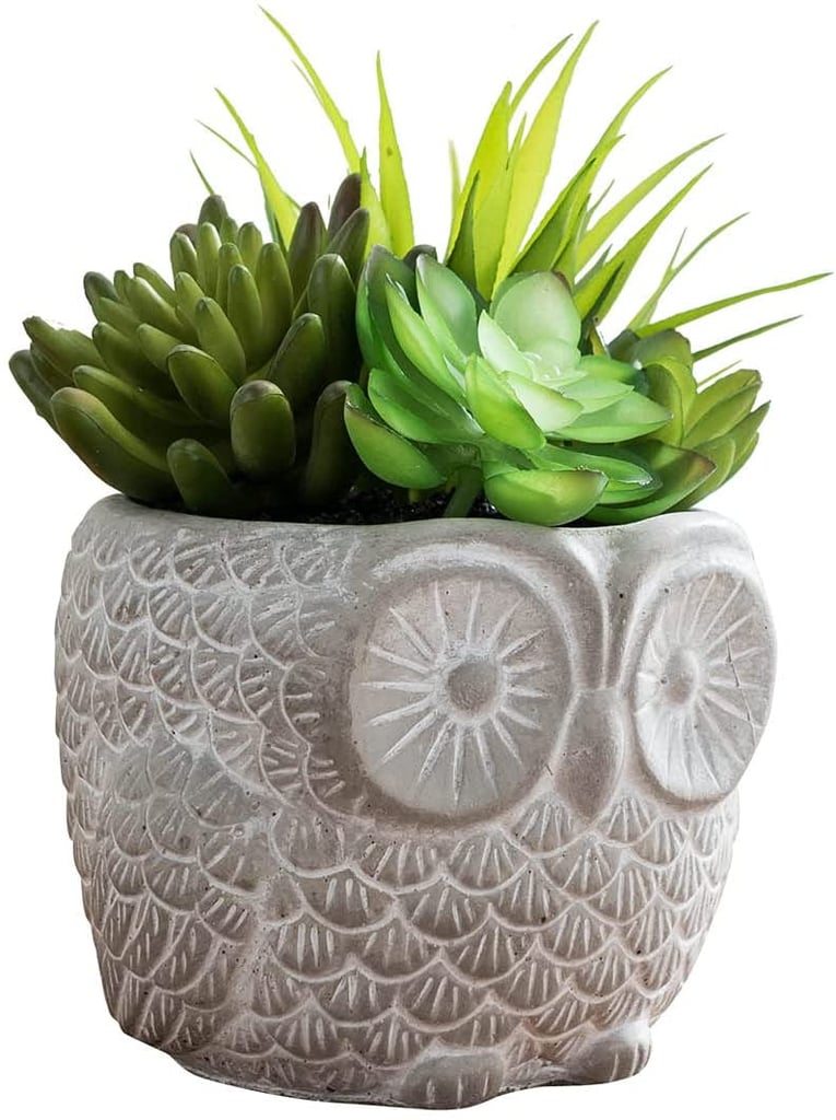 Something Cute: Favrd Artificial Succulents in Cement Owl Pot