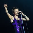 Harry Styles Ripped His Pants on Stage and Handled It Like a Pro