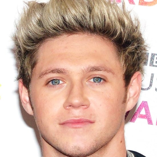 Niall Horan With Brown Hair | Winter 2016