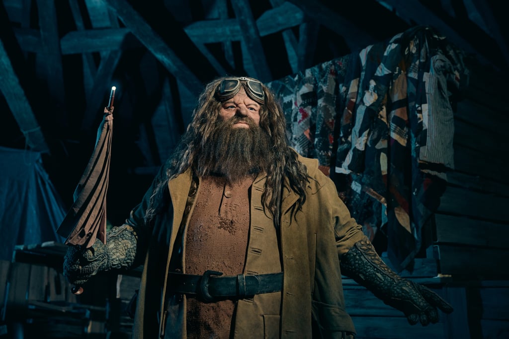 And Here's a Peek at How Realistic Hagrid Looks!