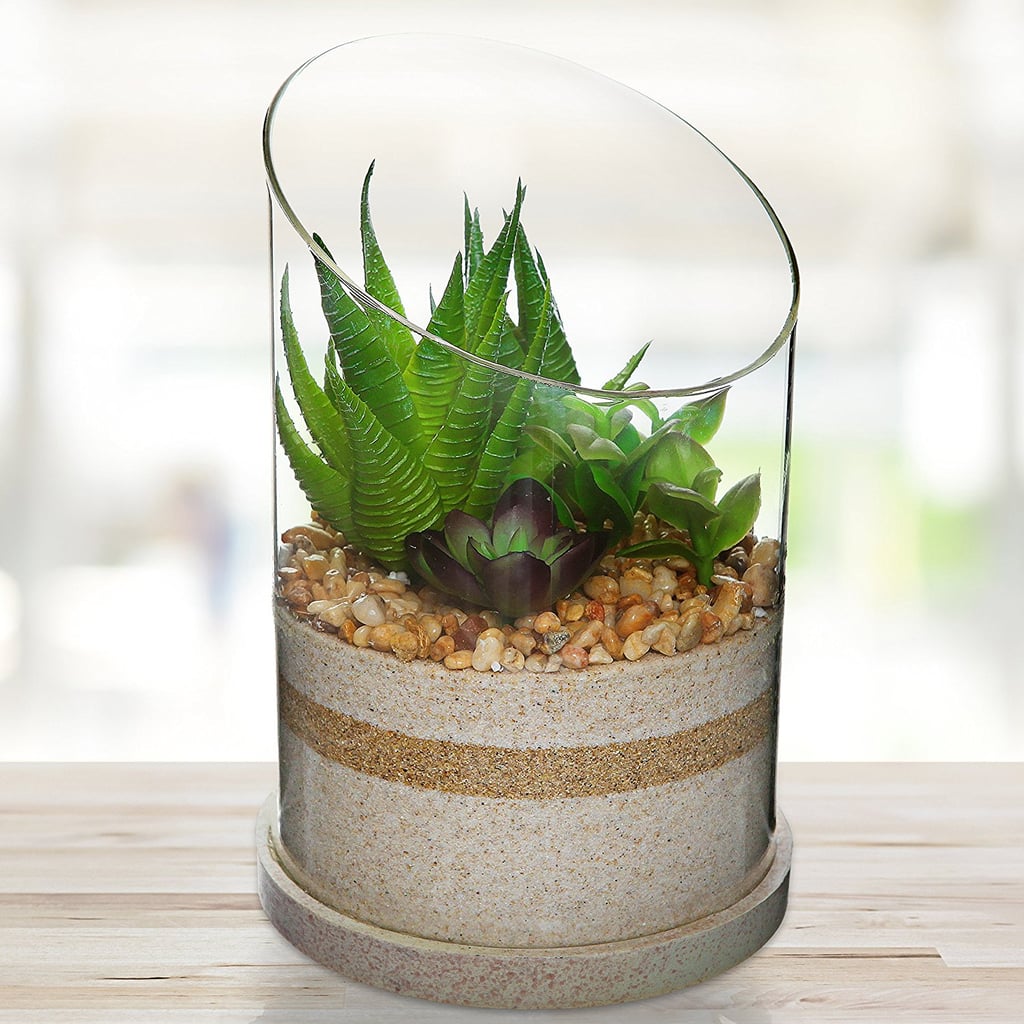 Modern Glass and Artificial Succulent Plant Centerpiece Display