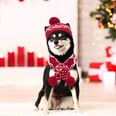 23 Holiday Pet Costumes to Add to Your Amazon Cart Right Now