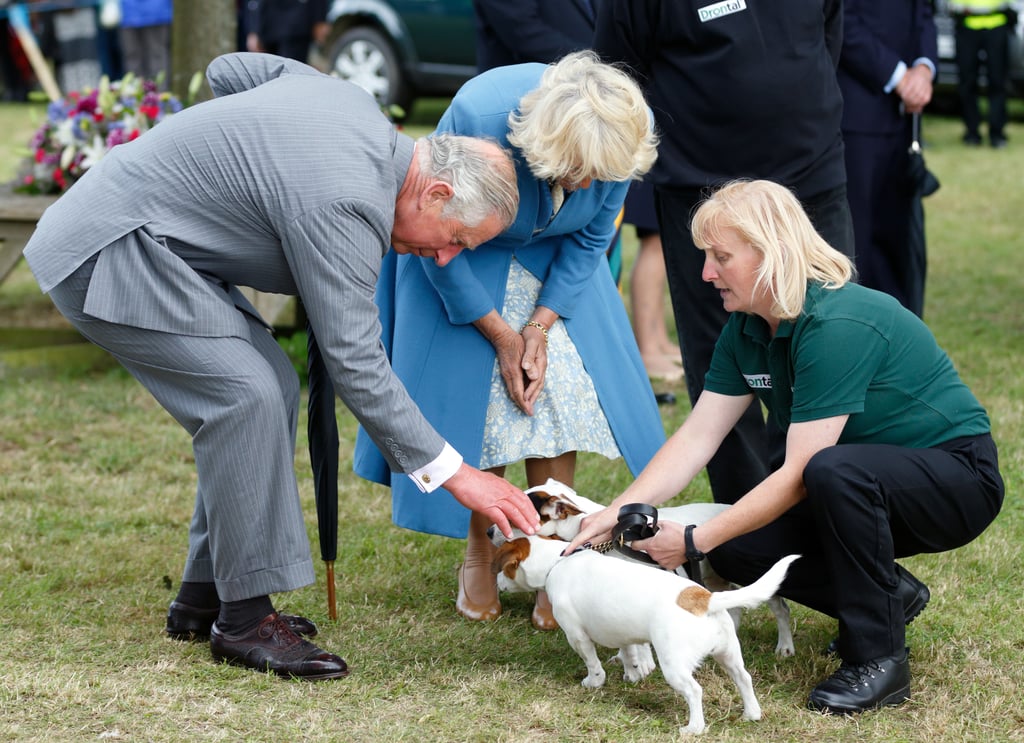 Prince Charles Camilla Freak Out at Eagle