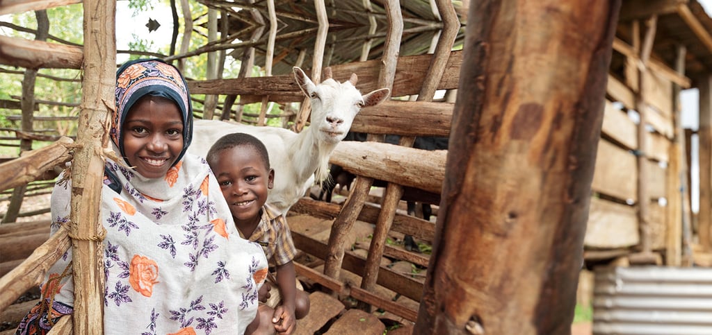 "Not only is this gift unique, but it really does make a huge difference for families in underdeveloped regions around the world. Many of our Samasource workers have benefited from a Heifer goat ($120), so I like to spread the word. Give a goat!"