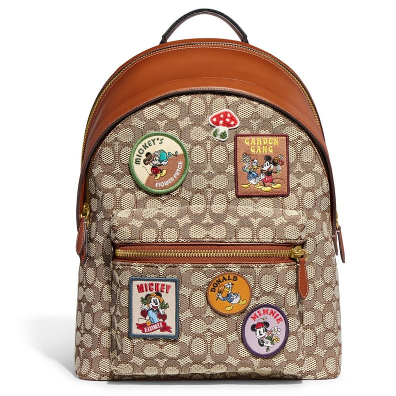 Best Disney Backpack For Adults