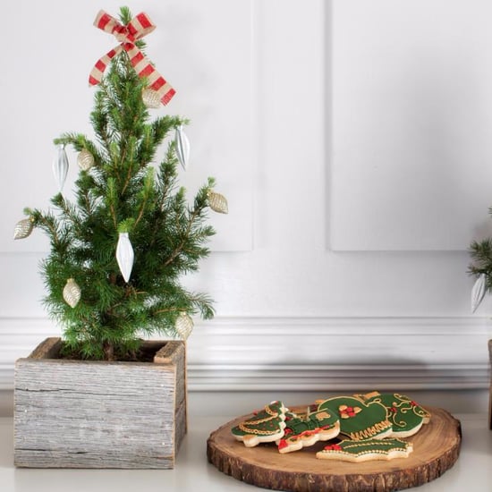 Design Updates For Dec. 7, 2015