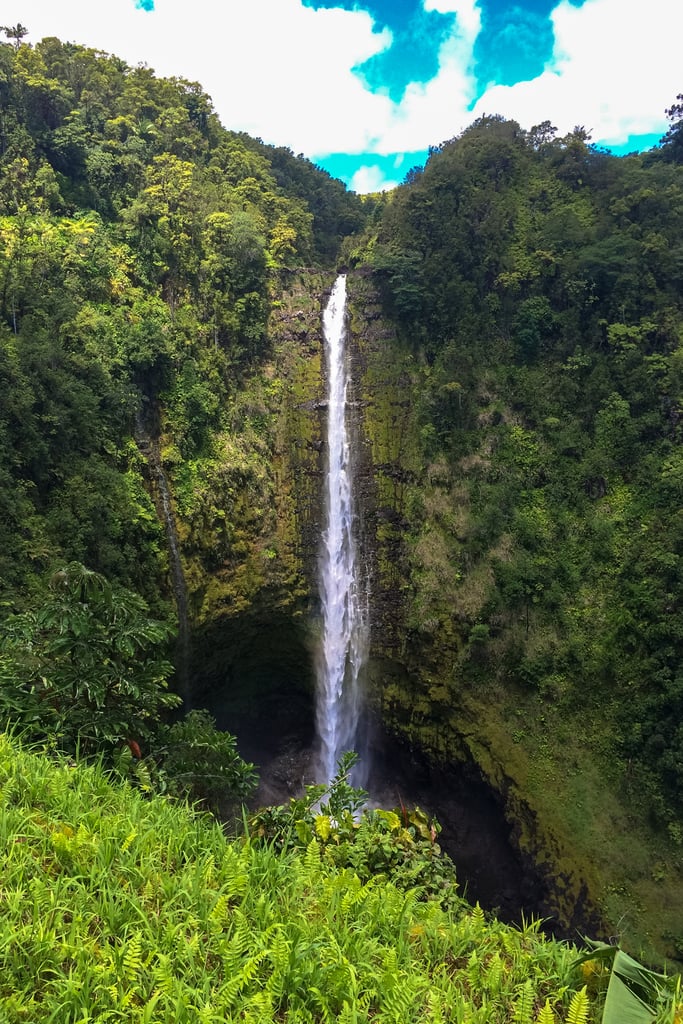 Ta-da! A towering 442-foot waterfall! Full of raging force and natural beauty, it is no surprise that Akaka Falls is one of Hawaii's most picturesque waterfalls. Along with the fact that it's hypnotizing, many people adore this waterfall because it's also extremely accessible. With a half-mile loop trail built for all skill levels, everyone can embrace this wonder.

    Related:

            
            
                                    
                            

            10 Jaw-Dropping Waterfalls in the United States