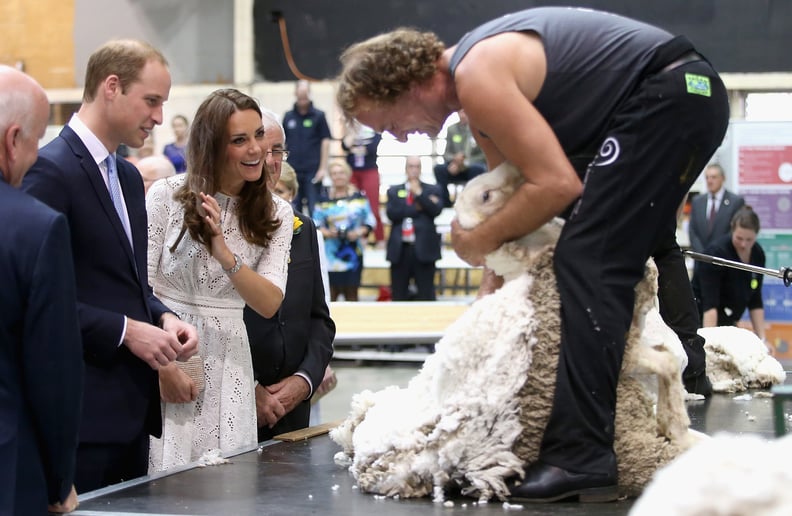 When they watched a shearing demonstration.