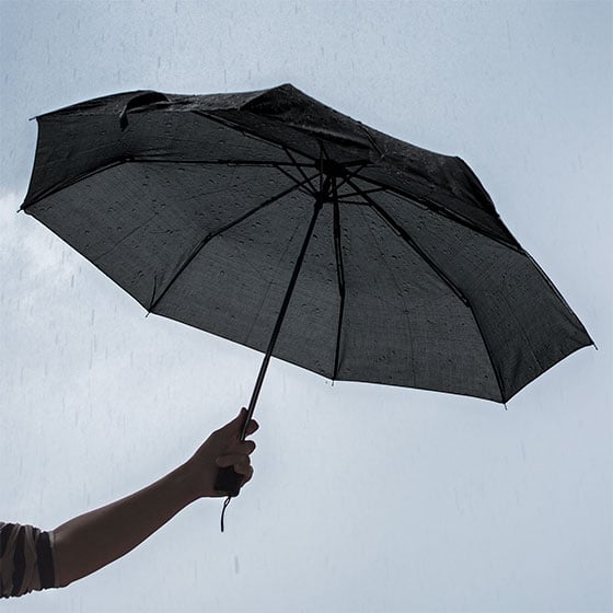 Первый зонтик. Зонт от первого лица. Первый зонт Африки фото. Student with a Black Umbrella. The largest Umbrella in the World.