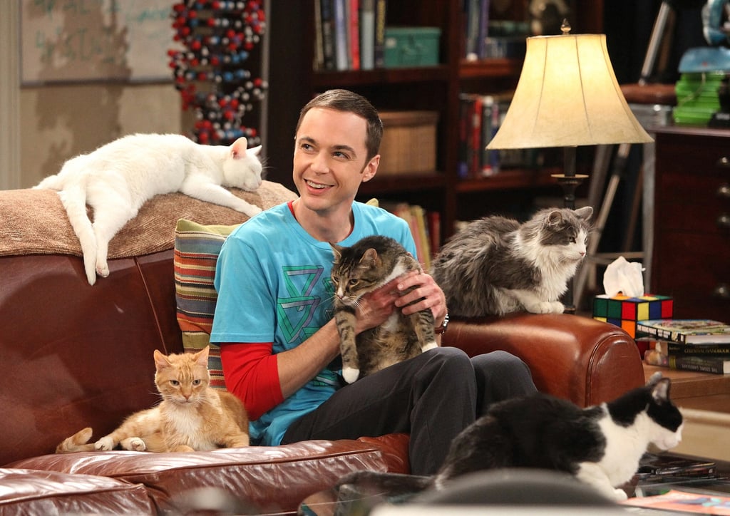 Neko Atsume Review