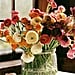 Our Favorite Plants and Dried Flowers From Anthropologie
