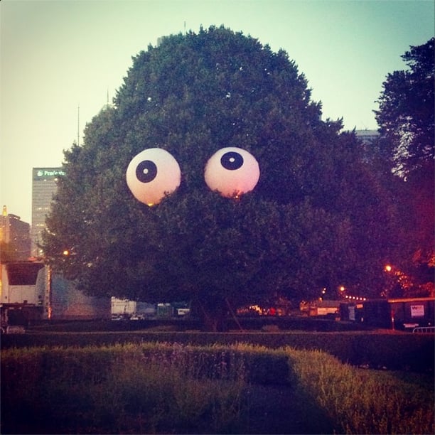 Even the trees got accessorized!
Source: Instagram user kateschweitzer