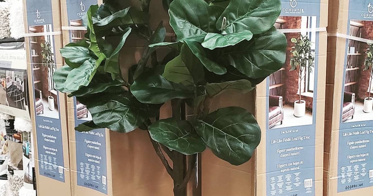 Costco's Faux Fiddle Leaf Fig Trees
