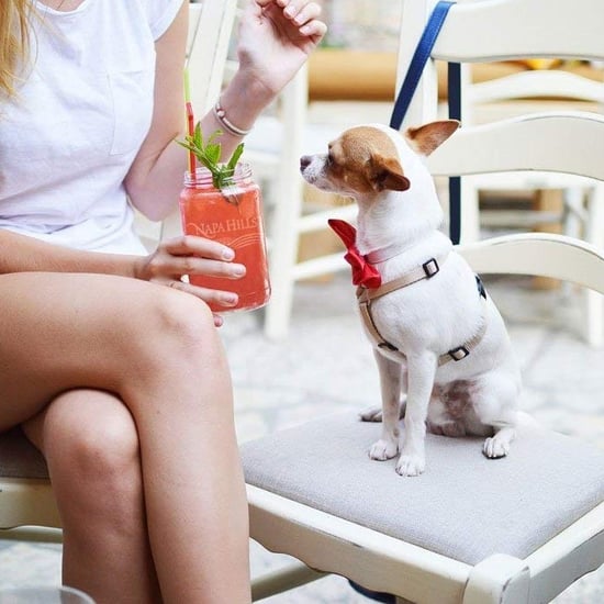 Can Pregnant Women Drink Wine?