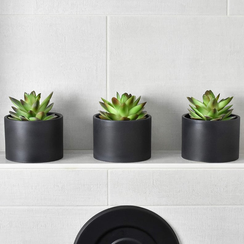 Faux Greenery: Seeko Succulents