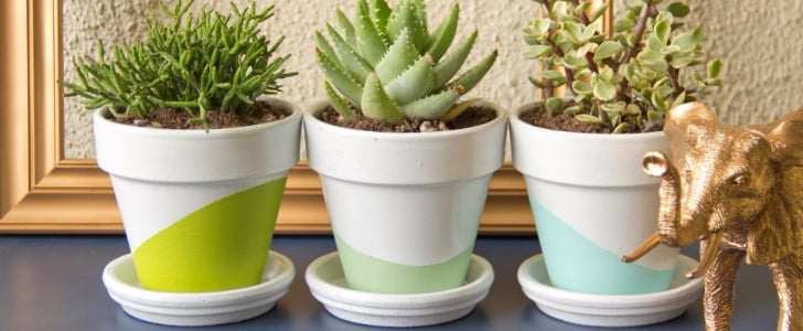 Design Updates For May 20, 2016