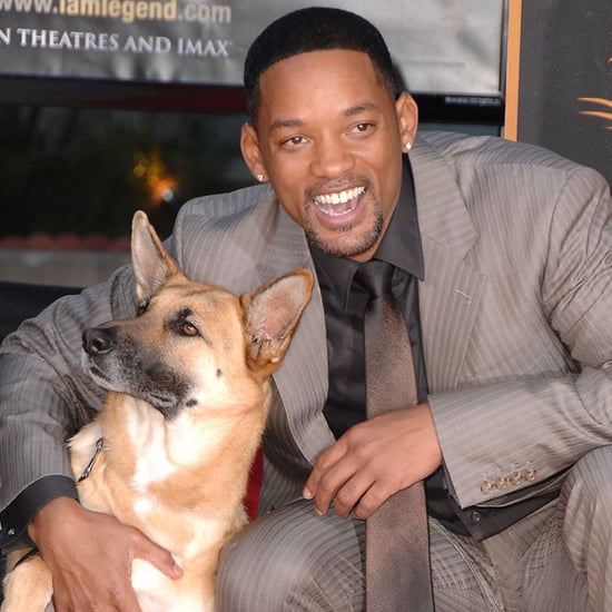 Hot Celebrities With Dogs | Pictures