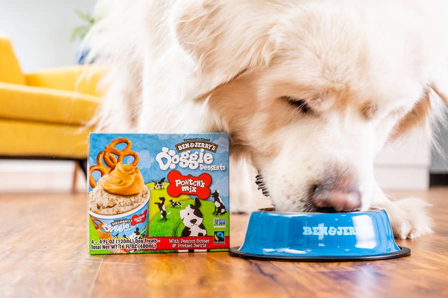 Look at This Happy Pup Enjoying Pontch's Mix!