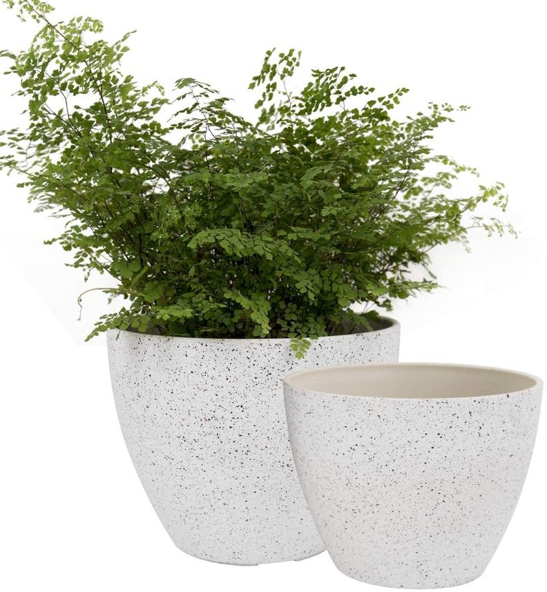 Flower Pots with Drainage Holes