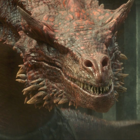 Why Do Fictional Animal Deaths in Movies and TV Make Me Sad?