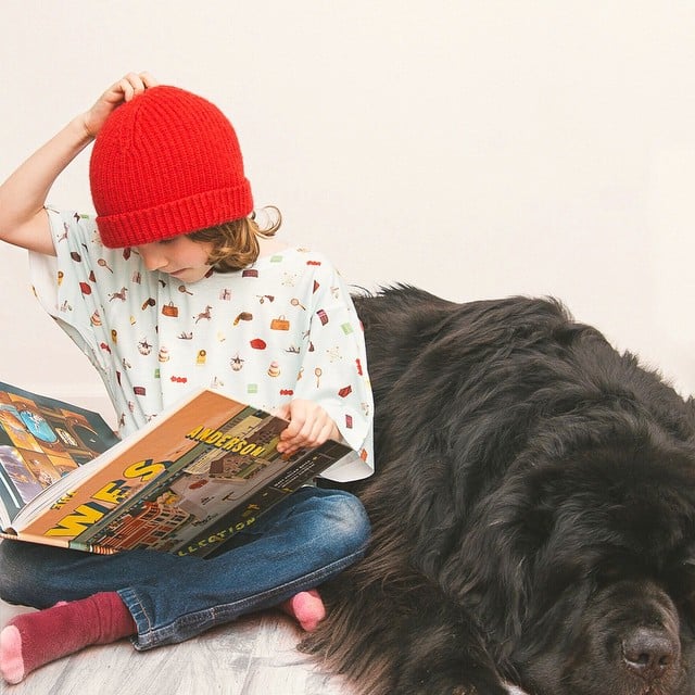 Photos of Boy With His Dogs and Horse