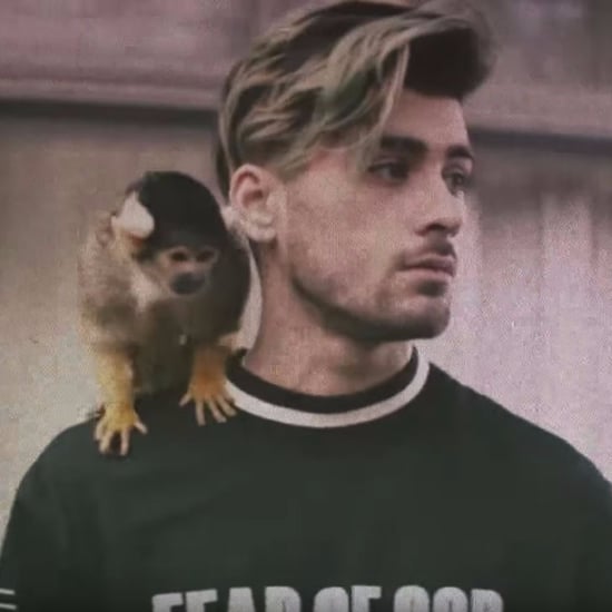 Zayn Malik's "Still Got Time" Music Video