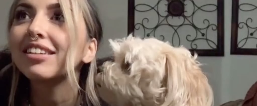 TikTok's "Call Your Dog" Challenge: Funny Videos