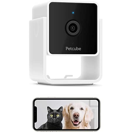 To Keep an Eye on Their Furry Friends: Petcube Monitoring Cam