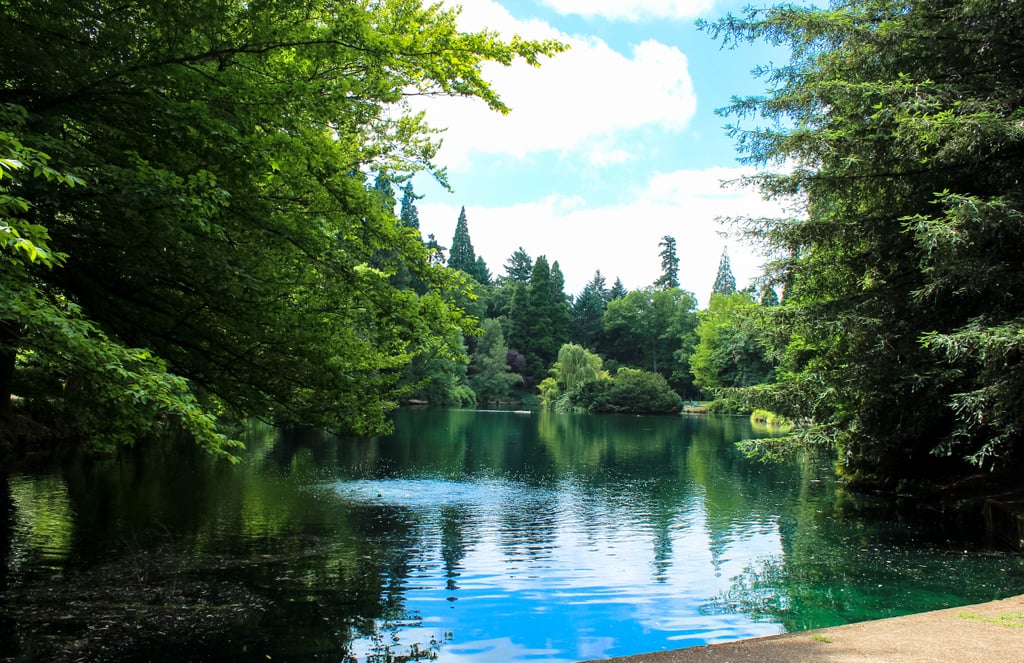 Another tranquil setting in the city is Laurelhurst Park. With over 26 acres and a breathtaking lake smack in the middle, this urban oasis is a great go-to for leisurely strolls, low-key picnics, and escaping any hustling city vibes.