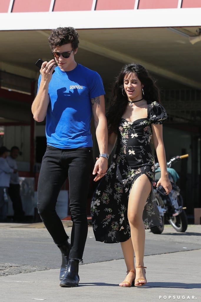 Camila Cabello and Shawn Mendes Holding Hands in West Hollywood, CA