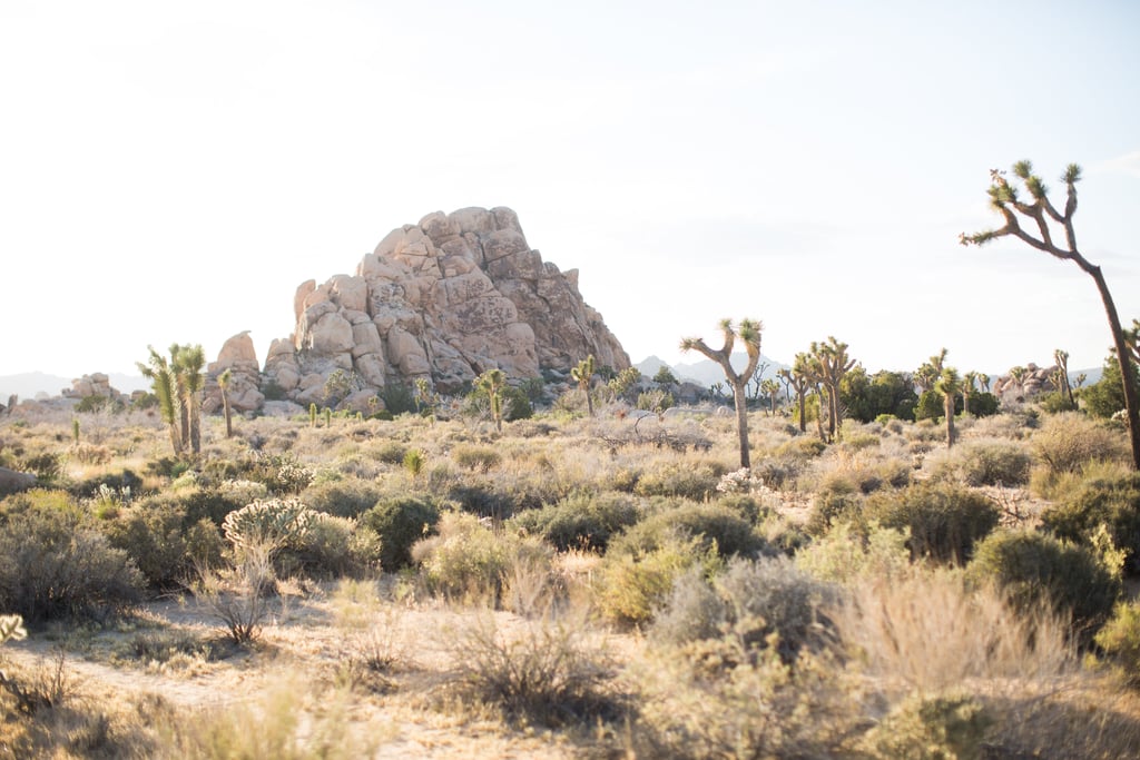 Mojave Desert Engagement Photos