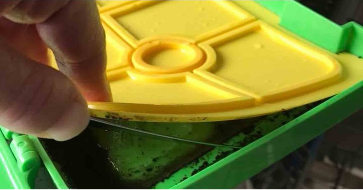 Mom's Warning About Cleaning Lunch Boxes POPSUGAR UK Parenting