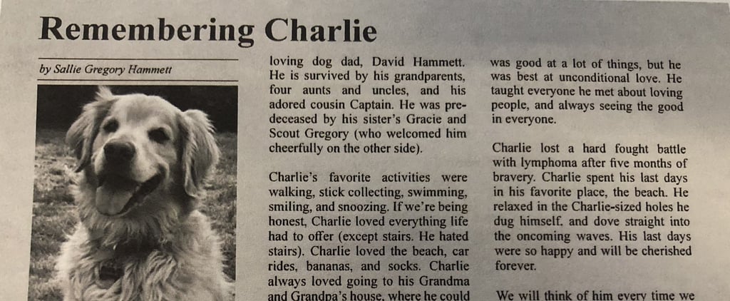 Dog Mom Writes Obituary For Golden Retriever, Charlie