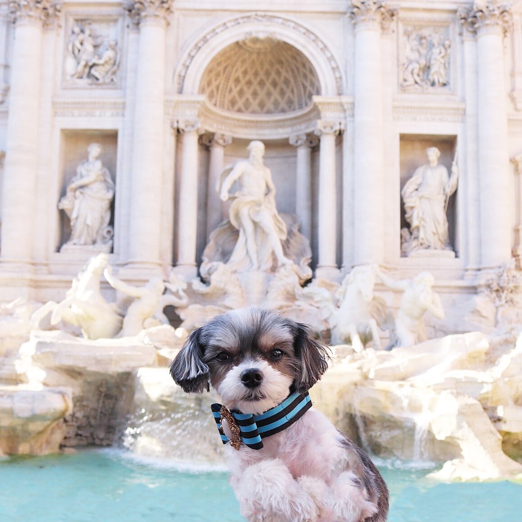 Sightseeing was a must in Rome and the Trevi Fountain was my first stop to throw a coin in over my left shoulder of course!