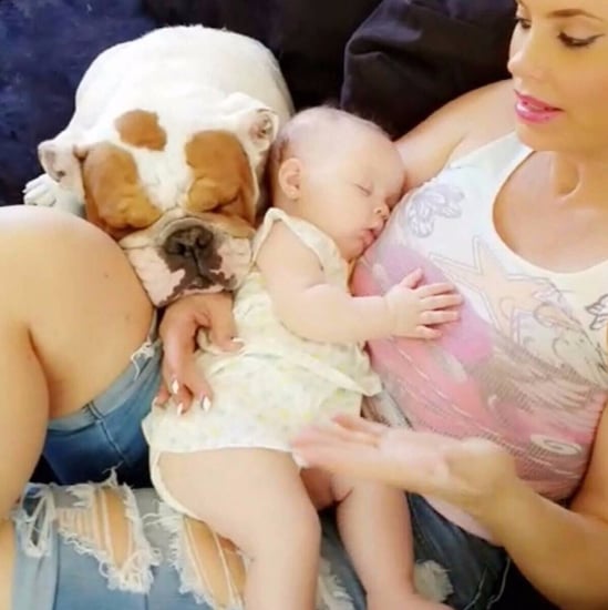 Coco Austin and Ice-T's Dog Spartacus Dies