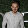 Liam Payne Casually Confirms His Romance With X Factor Judge Cheryl Fernandez-Versini