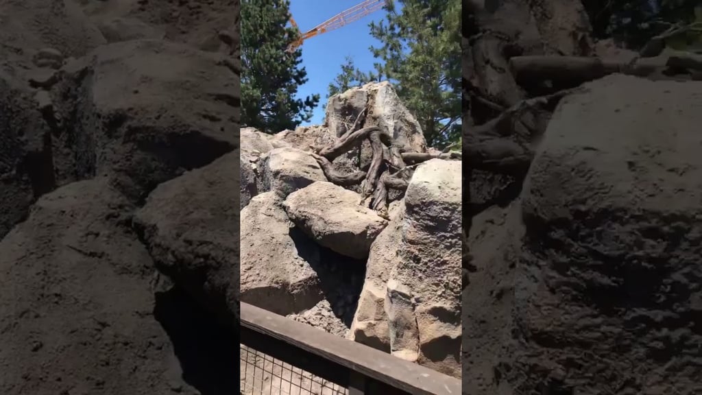 Disneyland Railroad New Route 2017
