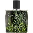 These Are the 6 Trendiest Fragrance Notes For Summer 2017
