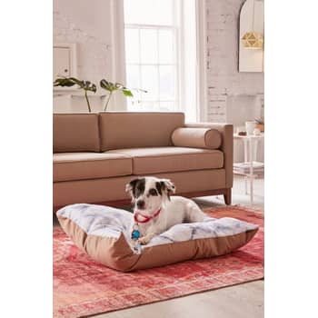 Dog Beds at Urban Outfitters POPSUGAR Home
