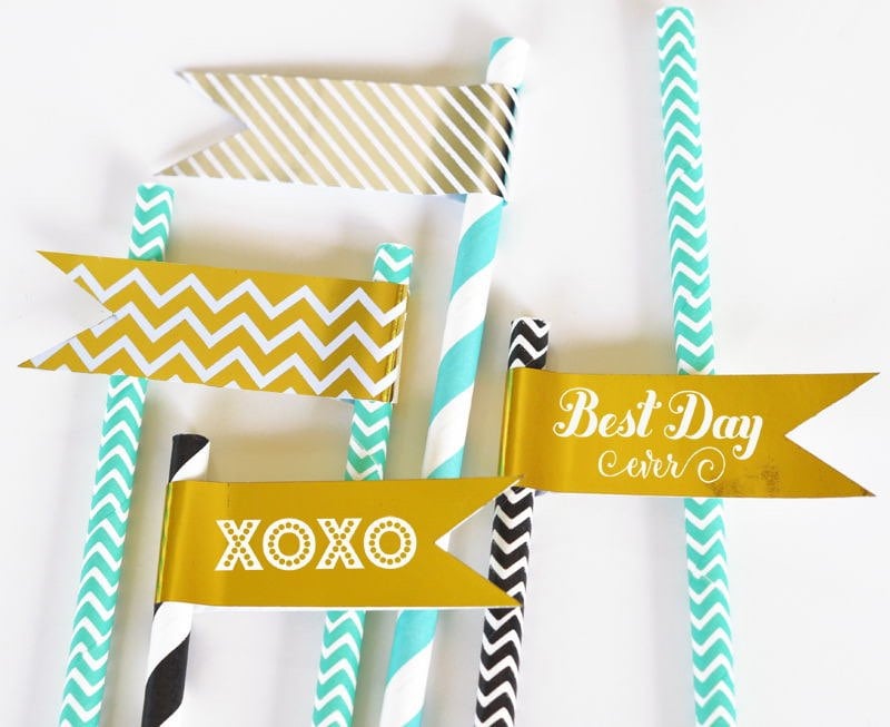 Shiny Straw Flags