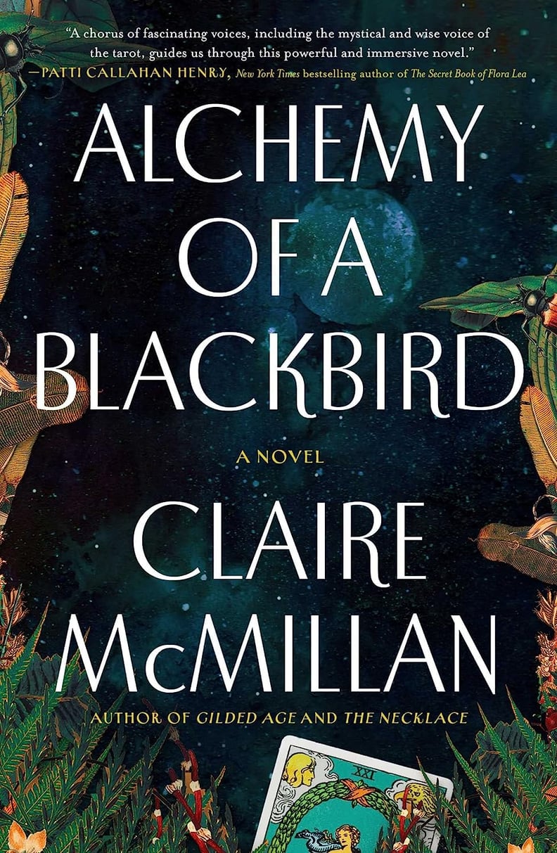 "Alchemy of a Blackbird" by Claire McMillan