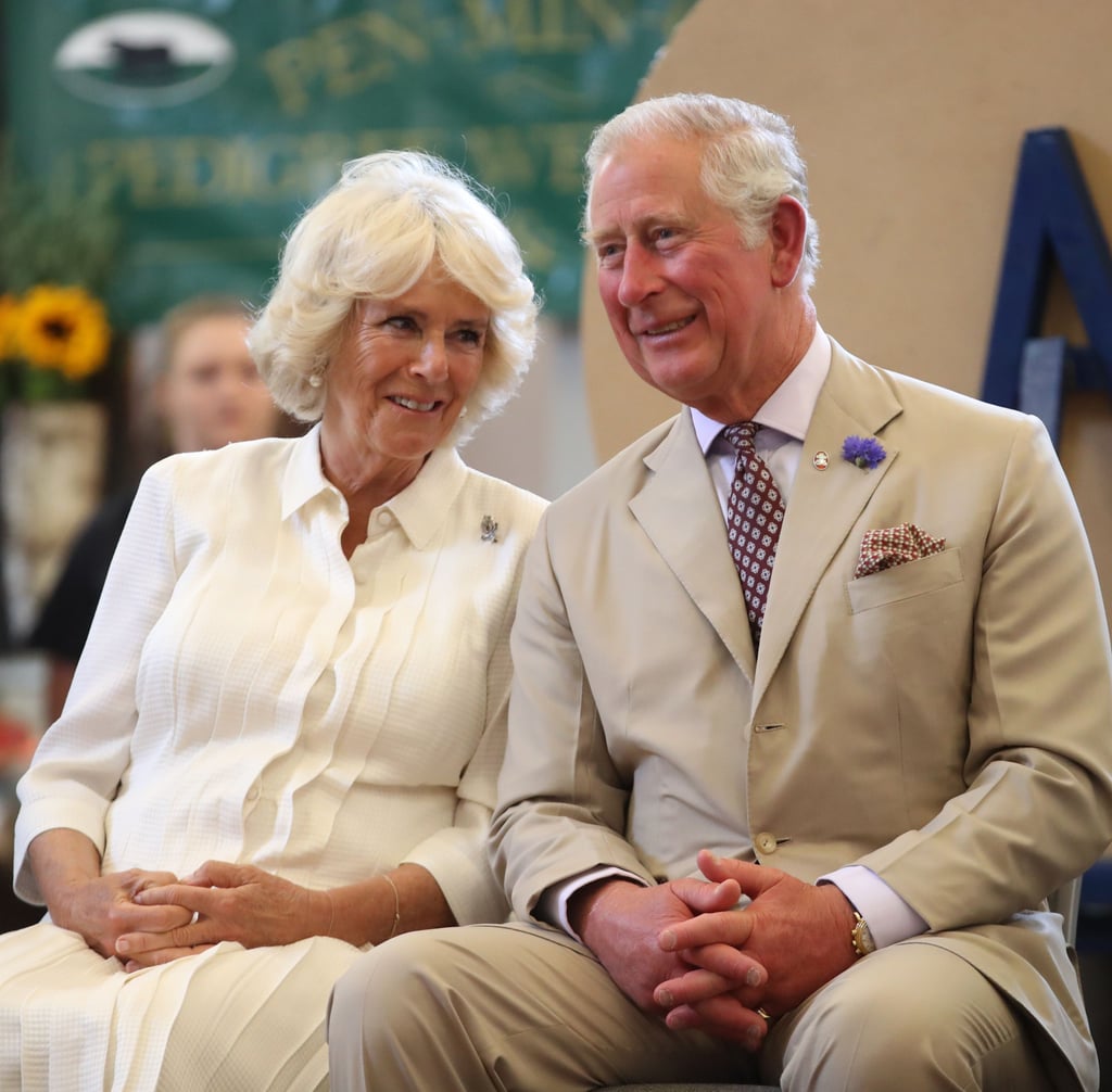 young charles and camilla