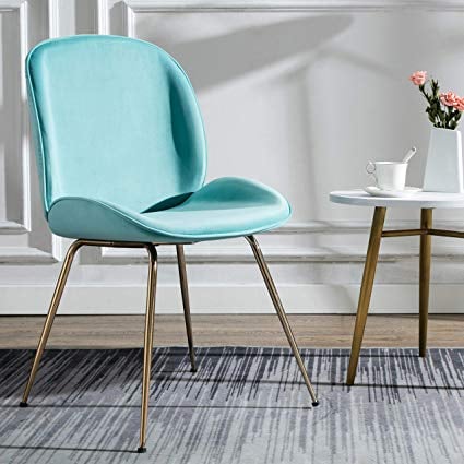 Art-Leon Soft Velvet Dining Chair Beetle Shell Chair with Gold Legs