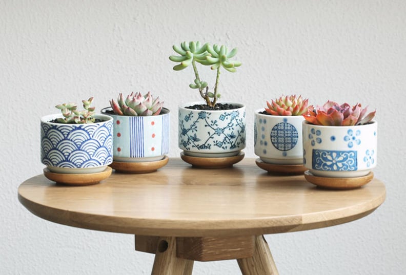 Jasmine Supply Set of 5 Japanese Style Ceramic Planters