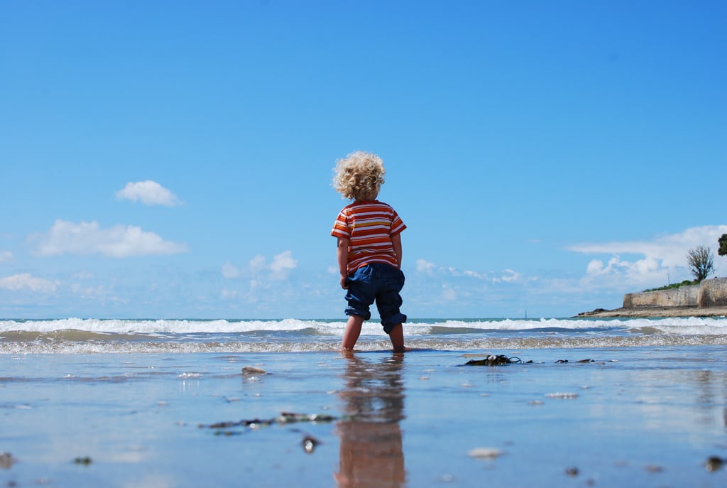 Collect Rocks and Seashells at the Beach