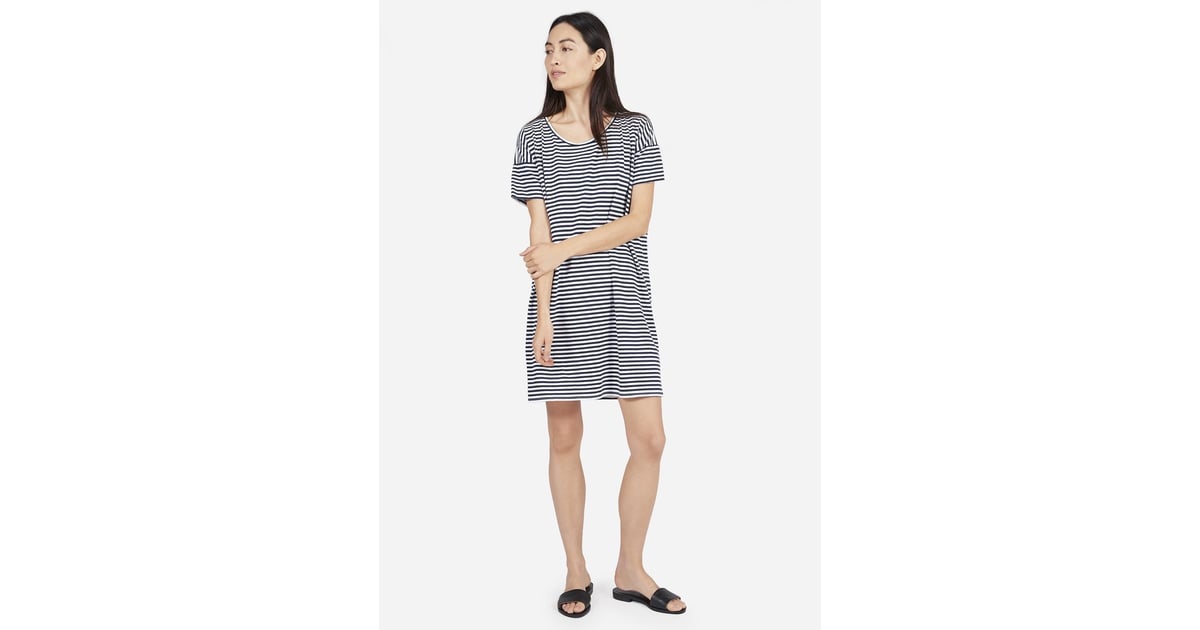 everlane striped shirt dress