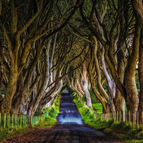 Photo of Northern Ireland