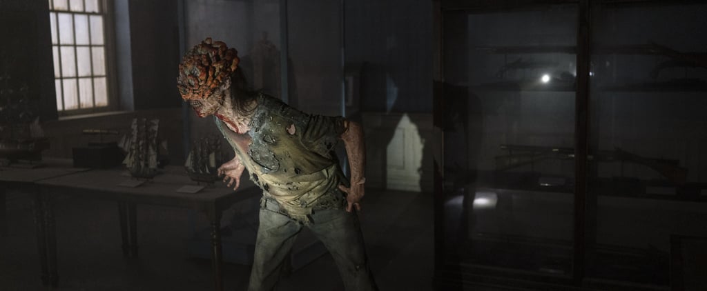 The Last of Us Fungus and Infection, Explained